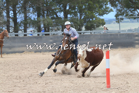 BraidwoodCampdraft2014_2774