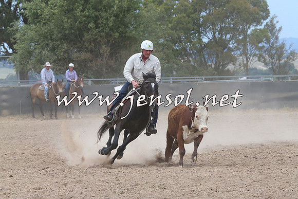 BraidwoodCampdraft2014_3002