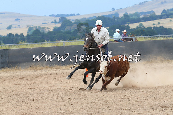BraidwoodCampdraft2014_2991