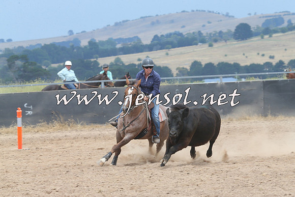 BraidwoodCampdraft2014_3012