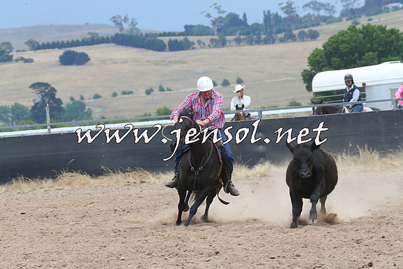 BraidwoodCampdraft2014_3043