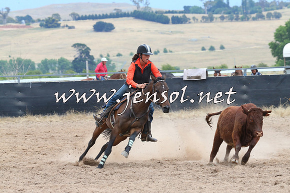 BraidwoodCampdraft2014_2719