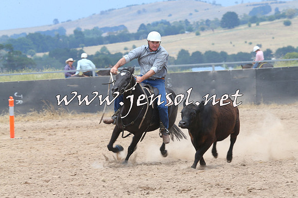 BraidwoodCampdraft2014_2956