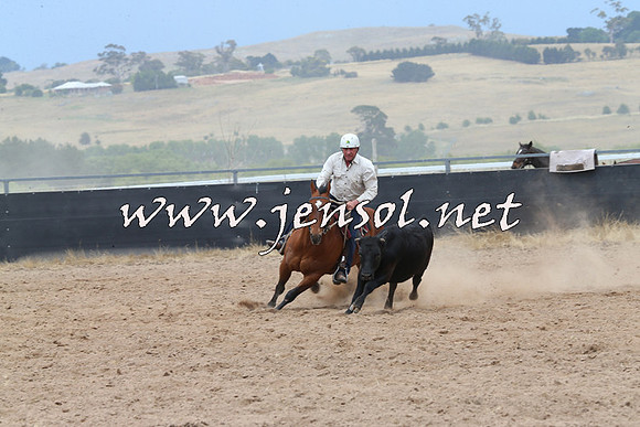 BraidwoodCampdraft2014_2784