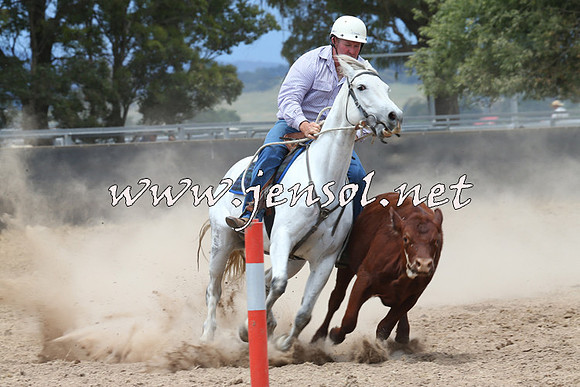 BraidwoodCampdraft2014_2803
