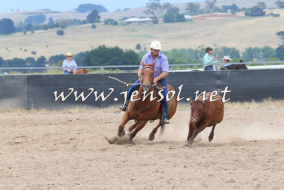 BraidwoodCampdraft2014_3010