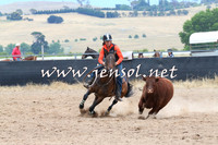 BraidwoodCampdraft2014_2722