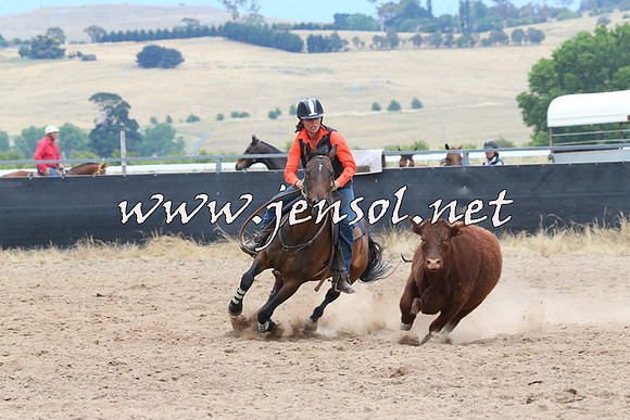 BraidwoodCampdraft2014_2722