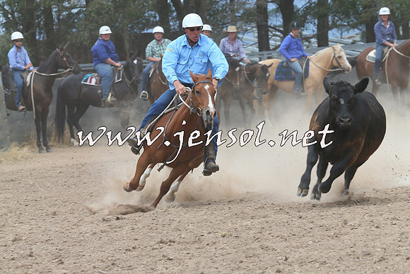 BraidwoodCampdraft2014_3062