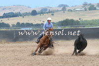 BraidwoodCampdraft2014_2726