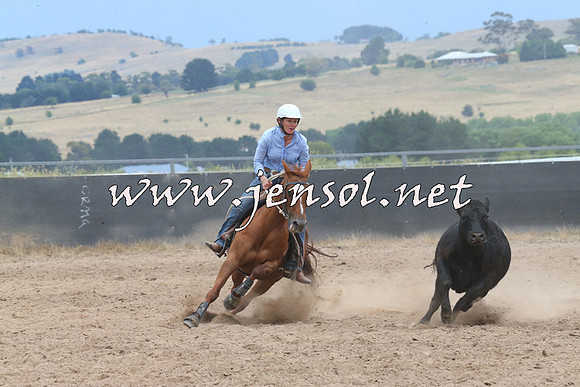 BraidwoodCampdraft2014_2726