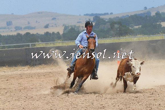 BraidwoodCampdraft2014_2936