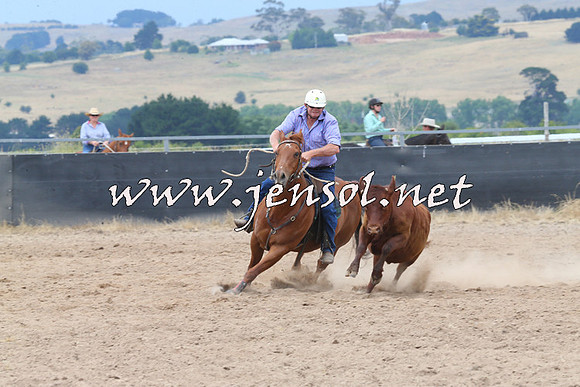 BraidwoodCampdraft2014_3005