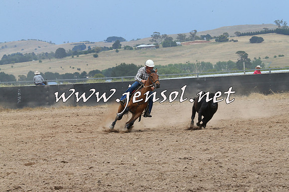 BraidwoodCampdraft2014_2758