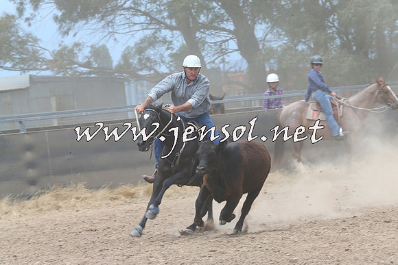BraidwoodCampdraft2014_2976