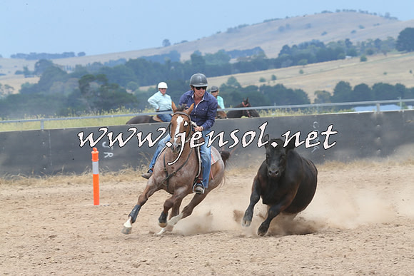 BraidwoodCampdraft2014_3015