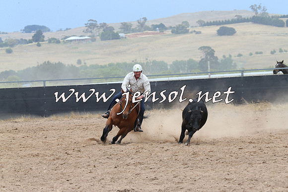 BraidwoodCampdraft2014_2785