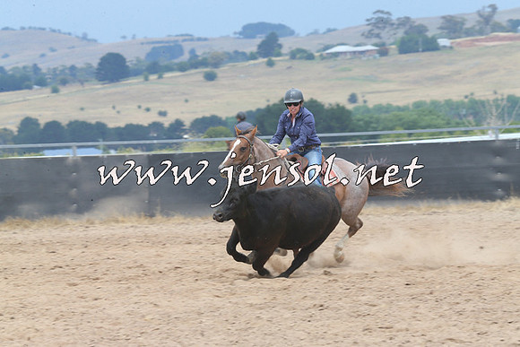 BraidwoodCampdraft2014_3017