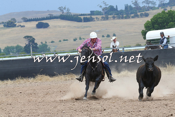 BraidwoodCampdraft2014_3048