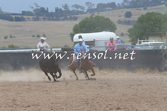 BraidwoodCampdraft2014_3059