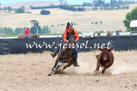 BraidwoodCampdraft2014_2724