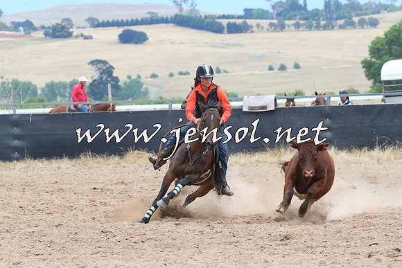 BraidwoodCampdraft2014_2724