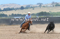 BraidwoodCampdraft2014_2727