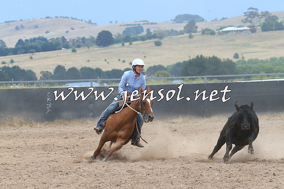 BraidwoodCampdraft2014_2727