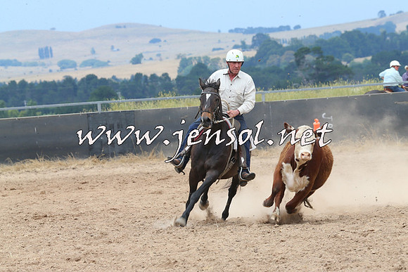 BraidwoodCampdraft2014_2998