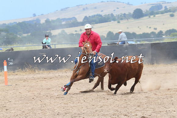 BraidwoodCampdraft2014_2763