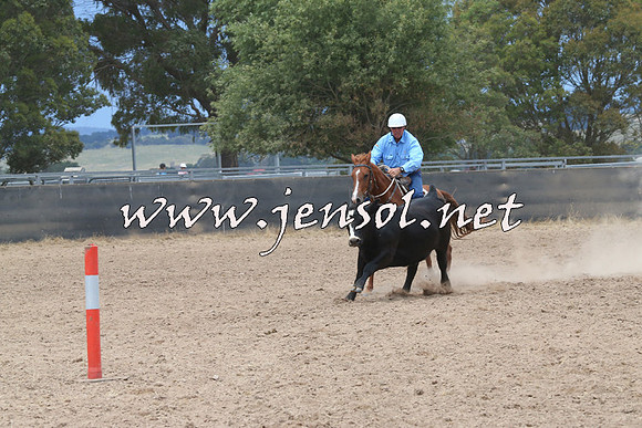 BraidwoodCampdraft2014_2752