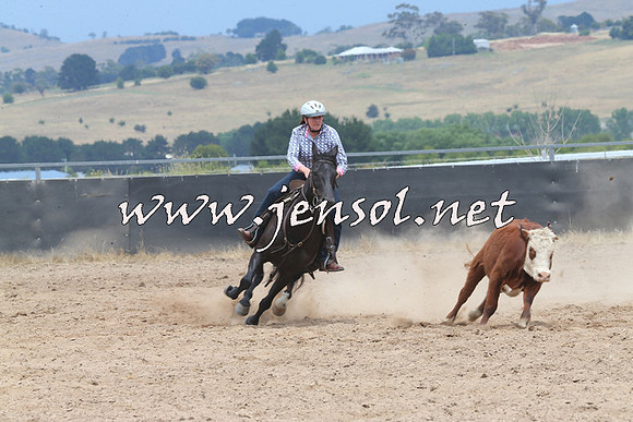 BraidwoodCampdraft2014_2934