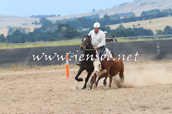 BraidwoodCampdraft2014_2992