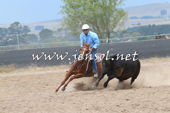BraidwoodCampdraft2014_3056