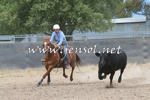 BraidwoodCampdraft2014_2738