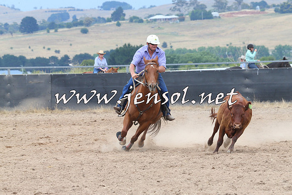 BraidwoodCampdraft2014_3011