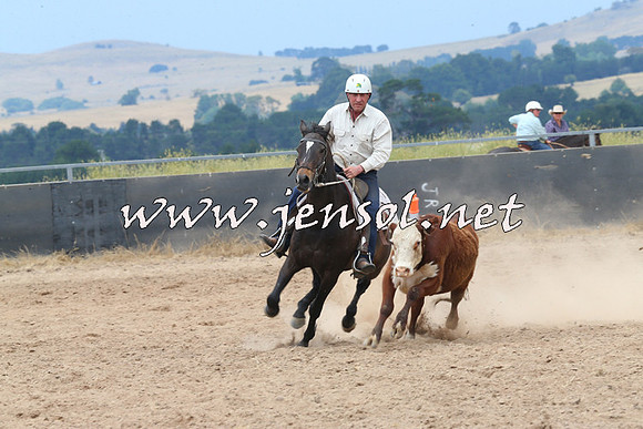 BraidwoodCampdraft2014_2997