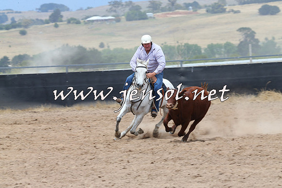 BraidwoodCampdraft2014_2799