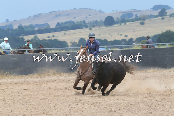 BraidwoodCampdraft2014_3021