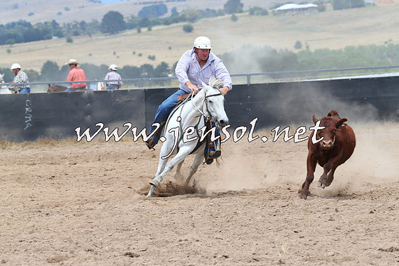 BraidwoodCampdraft2014_2796