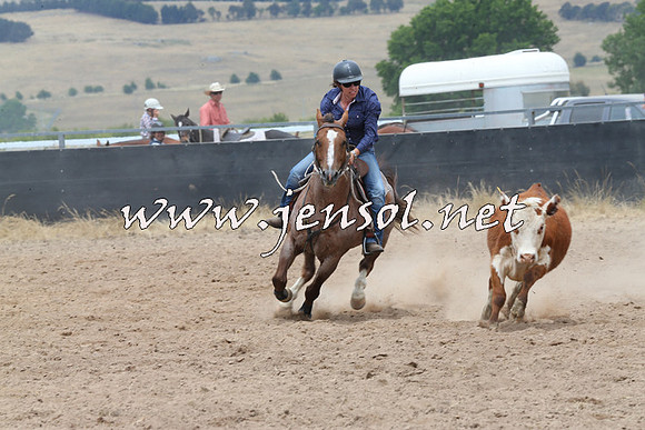 BraidwoodCampdraft2014_2818