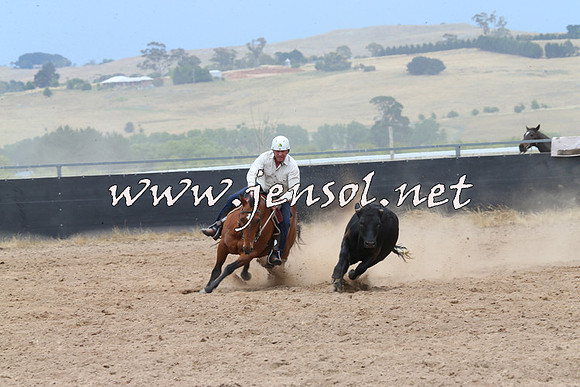 BraidwoodCampdraft2014_2782