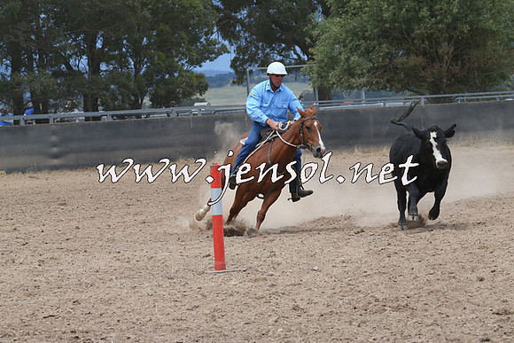BraidwoodCampdraft2014_2755
