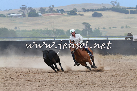 BraidwoodCampdraft2014_2786
