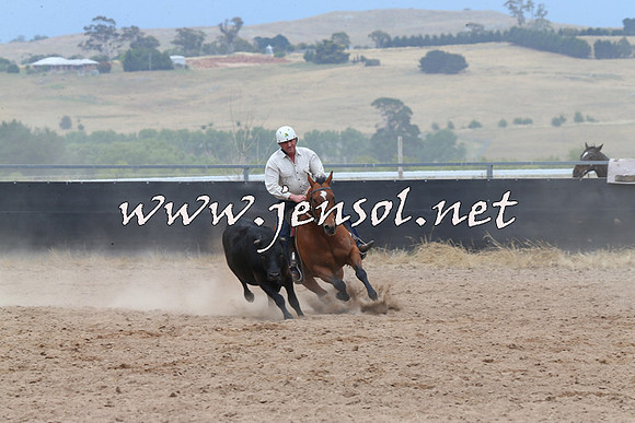 BraidwoodCampdraft2014_2789