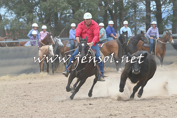 BraidwoodCampdraft2014_3037