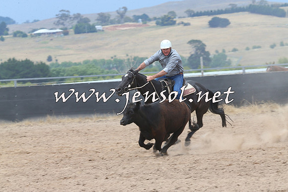 BraidwoodCampdraft2014_2961