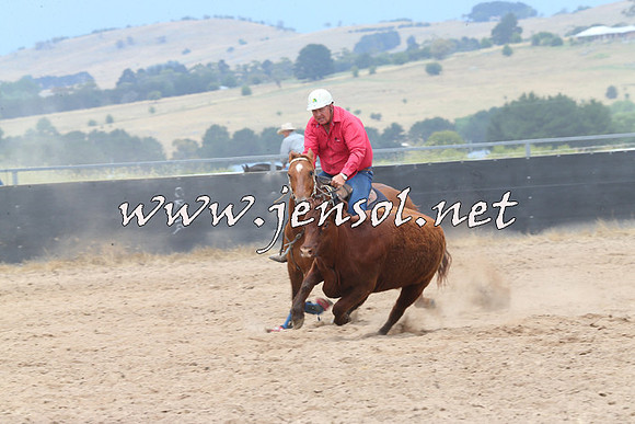 BraidwoodCampdraft2014_2762