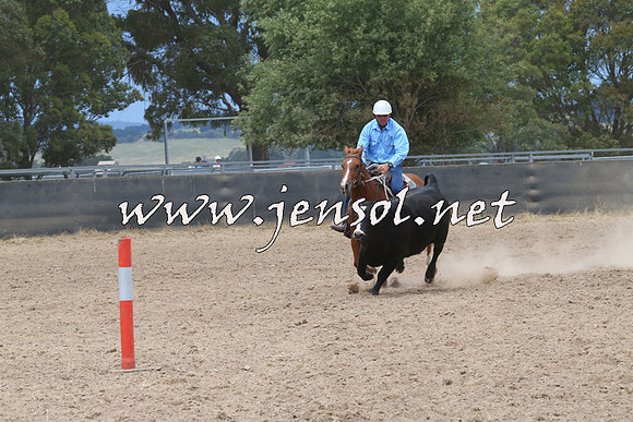BraidwoodCampdraft2014_2751