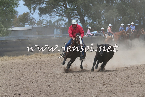 BraidwoodCampdraft2014_3071